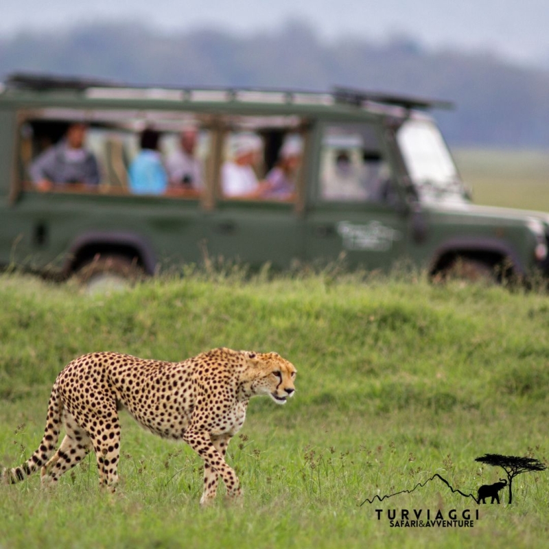 TANZANIA Safari 6 Giorni - 5 Notti