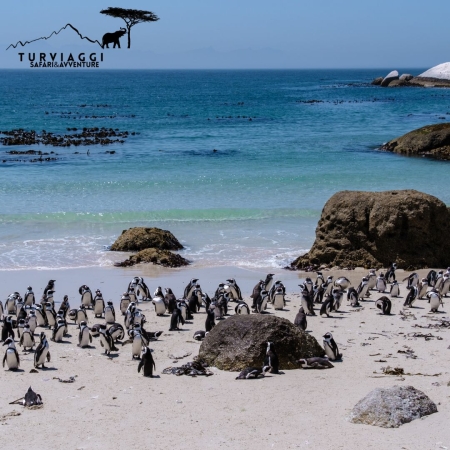 SELF DRIVE IN SUDAFRICA con assistente in loco parlante italiano  15 Notti 17 Giorni VIAGGI SAFARI