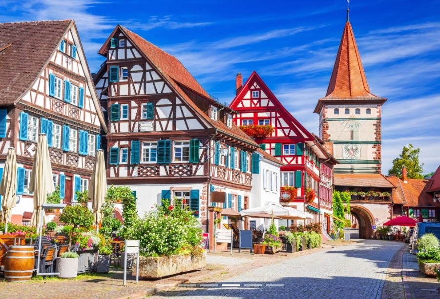 TOUR FORESTA NERA Sulla strada dei Cucù