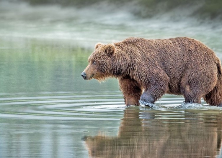 CROCIERA DI GRUPPO IN ALASKA con MSC POESIA